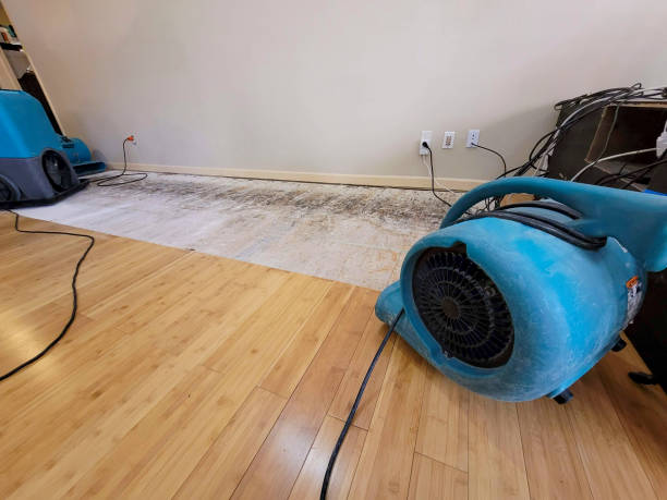 Professional Water Damage Repair technician working in Clay Springs, AZ